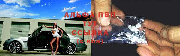 прущие грибы Красноперекопск