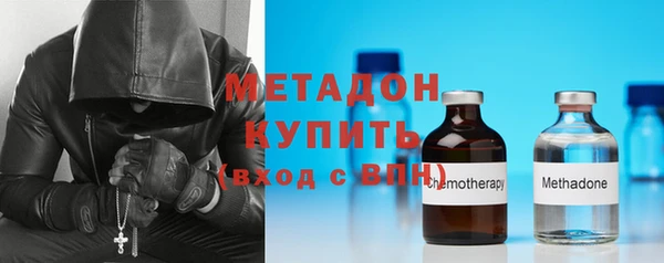 прущие грибы Красноперекопск