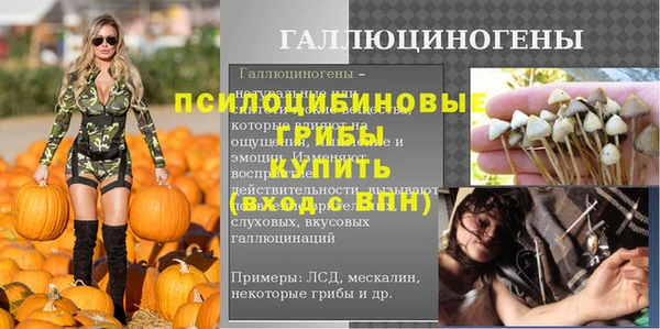 прущие грибы Красноперекопск