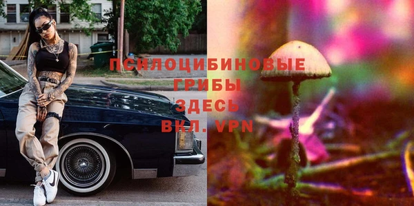 гашик Краснотурьинск