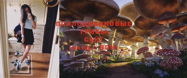 гашик Краснотурьинск