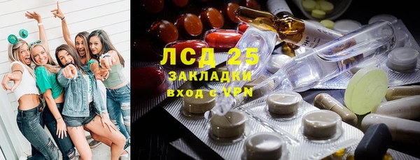 прущие грибы Красноперекопск