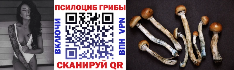 Галлюциногенные грибы Magic Shrooms  Купить где  Пугачёв 